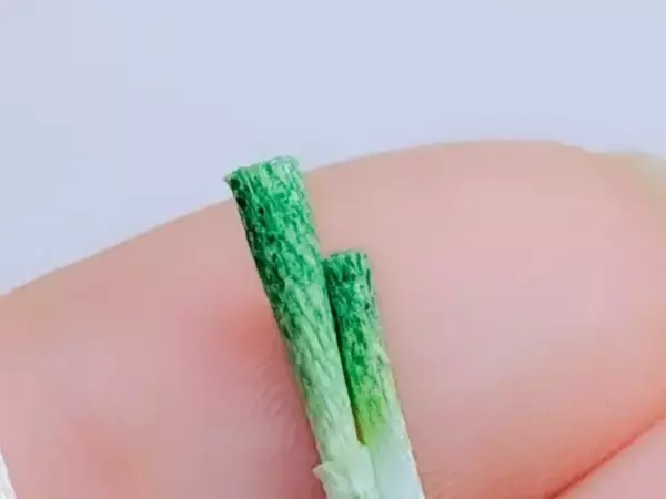 「なんて器用なの！」指先にのるサイズの『鍋の具材』　細かすぎる『手仕事』に驚き