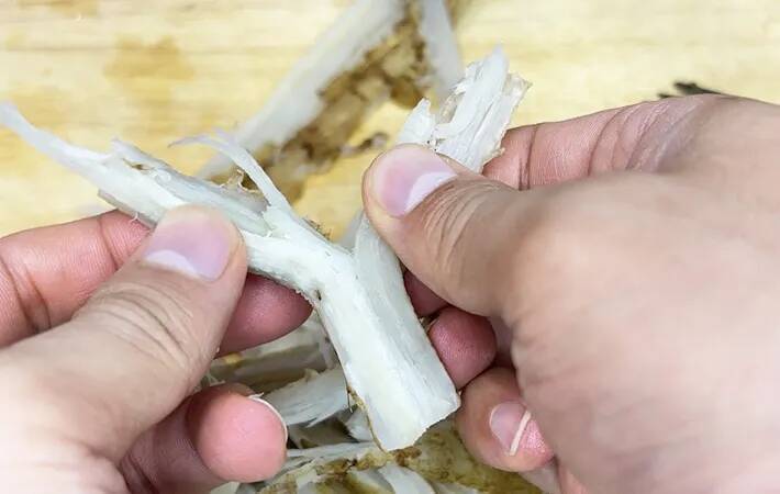 ゴボウはレンジに入れて！　包丁いらずで細かくほぐせる裏技に「これは便利」