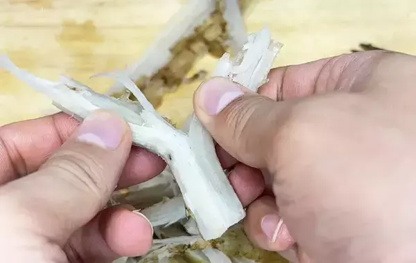 「ゴボウはレンジに入れて！　包丁いらずで細かくほぐせる裏技に「これは便利」」の画像