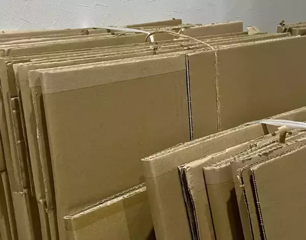 「セリア『ワイヤーふきんかけ』の意外な活用法　壁に設置したら「すっきり片づいた！」【100均グッズ活用法4選】」の画像