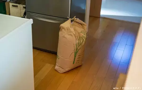 「残ったご飯、ラップだけで冷凍してない？　米のプロおすすめの保存方法は」の画像