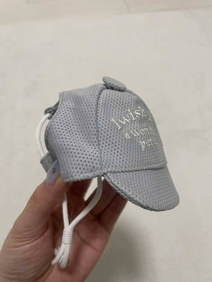 飼い主「思ってたのと違う…」　ペット用帽子を被せたら？「声出して笑った」