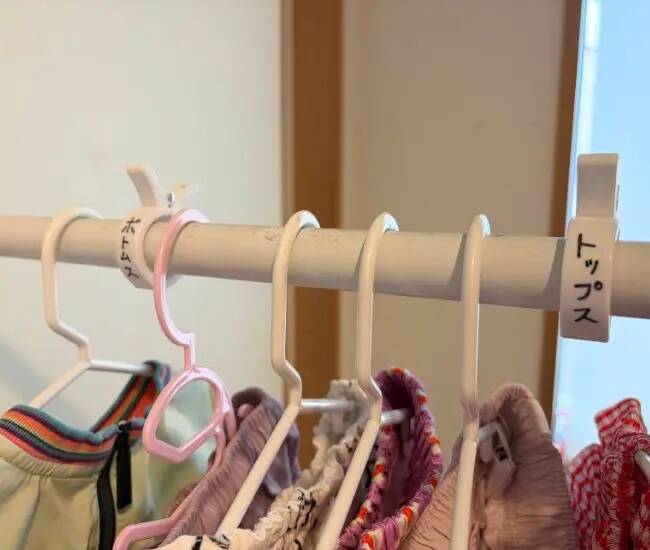 「クローゼットのポールに挟んで」　収納の正解に「その手があったか！」
