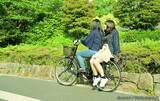 「子供が自転車で青切符 　「反則金は保険で払える？」専門家の答えは…」の画像2
