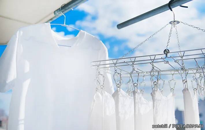 夏に使った保冷バッグ、片づけるの待った！　しまう前にすべきことをメーカーに聞いた