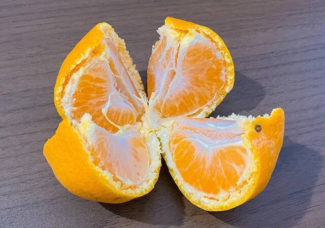 【おもしろ雑学】ミカンの房の数、皮むく前に当てられるって知ってた？