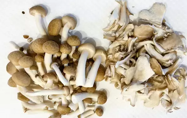 「子供が「初めての味！」と感動　味噌汁にちょい足しした『意外な調味料』が？」の画像