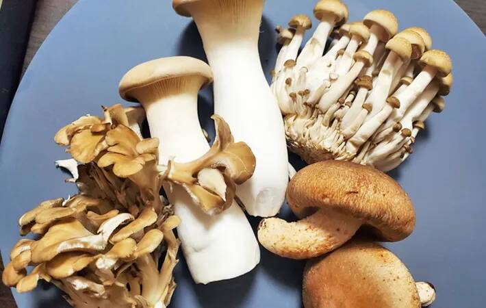 食べた夫が「弁当にも入れて！」と大絶賛　キノコと一緒に炒めたのは…【最強おかず】