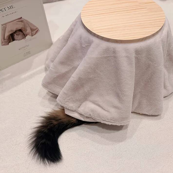 スリコのペット用コタツ、組み立てたら猫が？　3秒後の姿に「なんという吸引力」