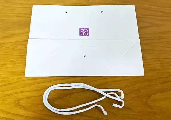 「余ってる紙袋の両サイドに穴を開けると…　5分で作れる『取っ手つきボックス』が収納で活躍」の画像