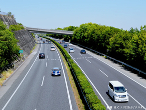 「あそこでどうやって手入れしてるの？」　高速道路に植木がある理由