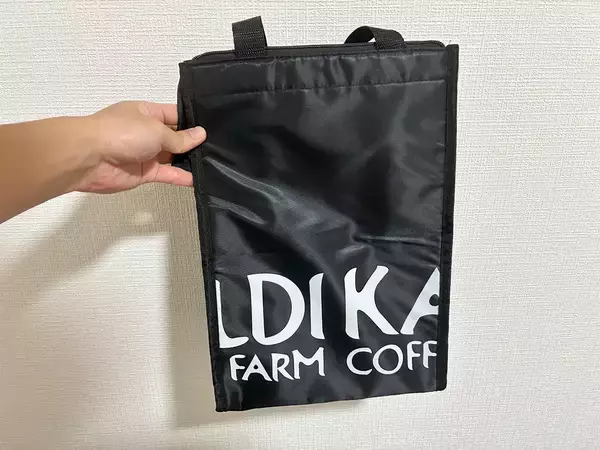 夏にカルディで見つけた『保冷バッグ』　620円と思えないほど「優秀！」