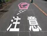「沖縄の道路にある『動物注意』の標識、描かれているのは…？」の画像3