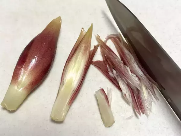 ミョウガを切る時、輪切り？縦切り？　JA高知県に聞いた「おすすめの切り方」は…