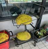 「タネをゆでると『ほぼ栗』　スーパーの前で見つけた『謎の果実』に驚き」の画像2