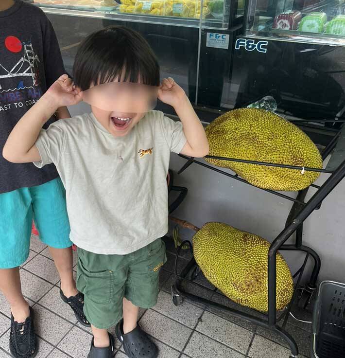 タネをゆでると『ほぼ栗』　スーパーの前で見つけた『謎の果実』に驚き