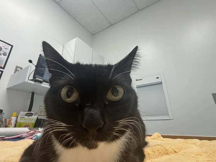 「この顔を見れば分かる」「証拠はあるのか？」　窃盗事件の『容疑者』に無罪の声が殺到して？