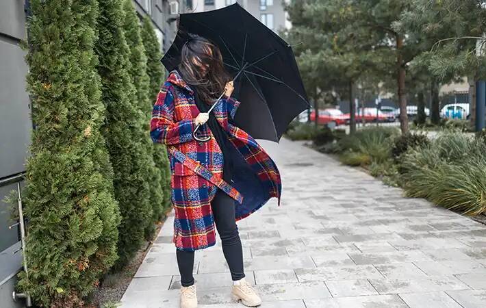 濡れた傘、パタパタするの待った！　プロが教える『乾かし方の正解』