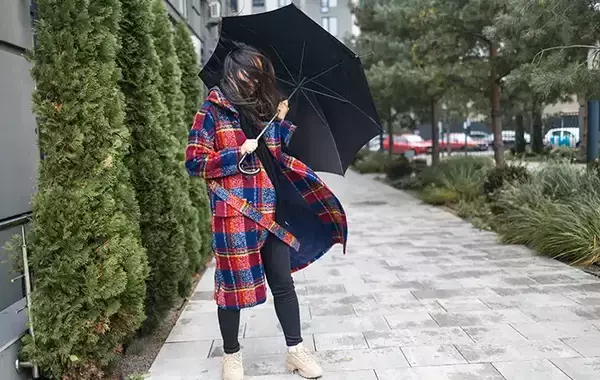 「濡れた傘、パタパタするの待った！　プロが教える『乾かし方の正解』」の画像