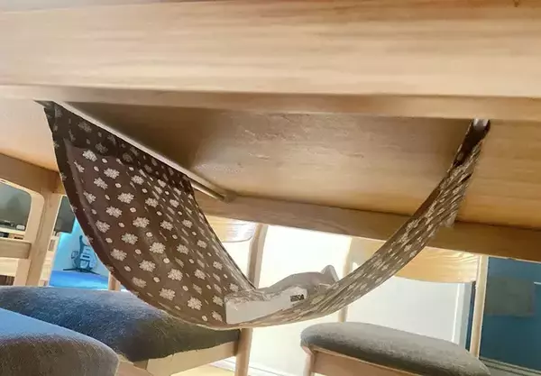 「「こんな使い方があったんだ」　100均のつっぱり棒と布で作る『収納』が目からウロコ」の画像