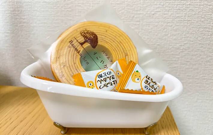 110円で買える『小さなバスタブ』が優秀！　思わぬ使い道に「子供が喜んだ」「買い忘れ防止に」