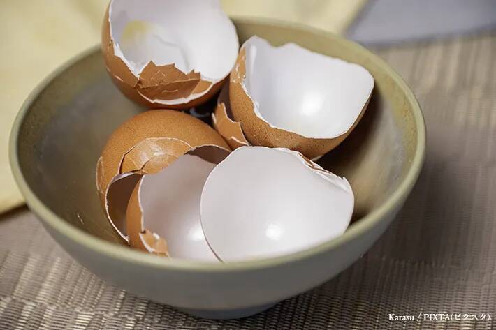 ダンボールが肥料に変わる？　土づくりに使える意外な素材4選【プロ直伝】