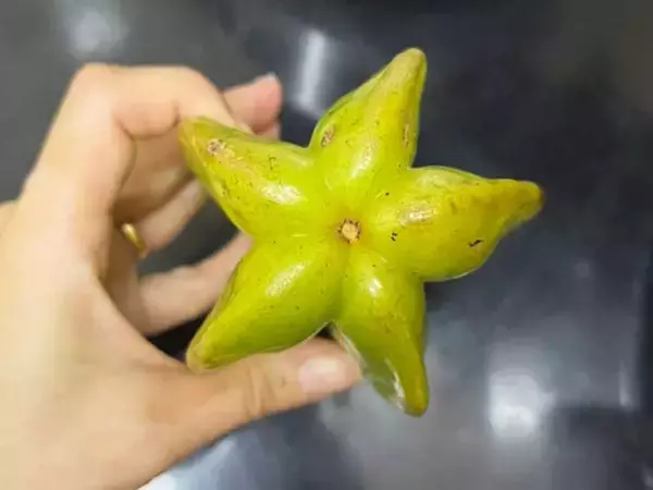 「「星の形をしてる！」　枝豆の横にいた『謎の果実』を買って食べてみた」の画像