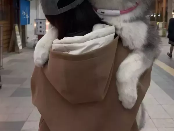 腕に収まっていた愛犬が10か月後…？　「変な声出た」「かわいすぎるよ」