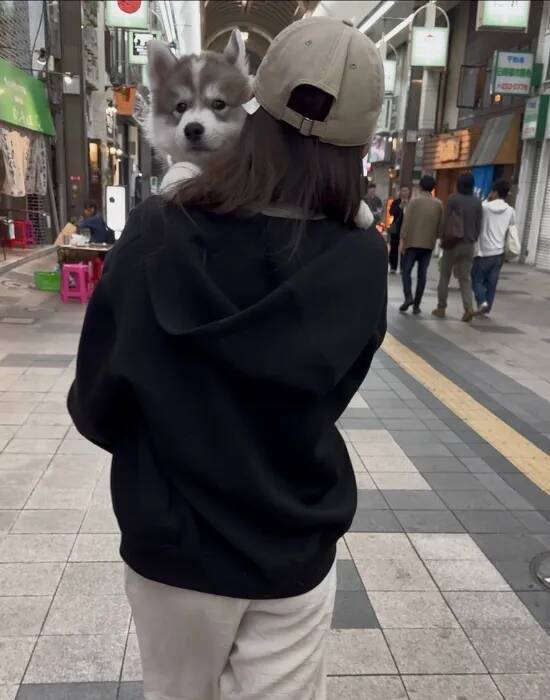 腕に収まっていた愛犬が10か月後…？　「変な声出た」「かわいすぎるよ」