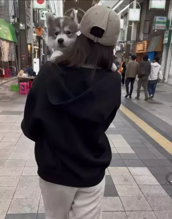 「腕に収まっていた愛犬が10か月後…？　「変な声出た」「かわいすぎるよ」」の画像