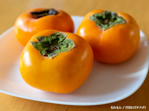 柿は野菜室へ入れる前に…？　シャキシャキ感を保つプロの保存術