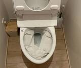 「トイレットペーパーを敷き詰めて！　花王推奨のトイレ掃除術に「もっと早く知りたかった」」の画像3