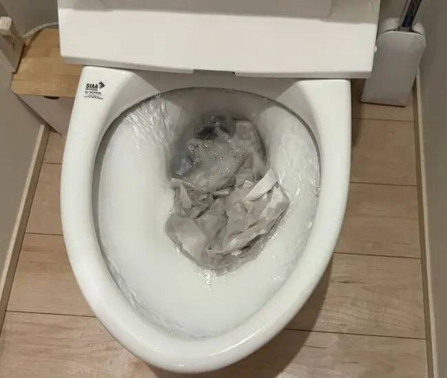 トイレットペーパーを敷き詰めて！　花王推奨のトイレ掃除術に「もっと早く知りたかった」