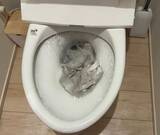 「トイレットペーパーを敷き詰めて！　花王推奨のトイレ掃除術に「もっと早く知りたかった」」の画像5