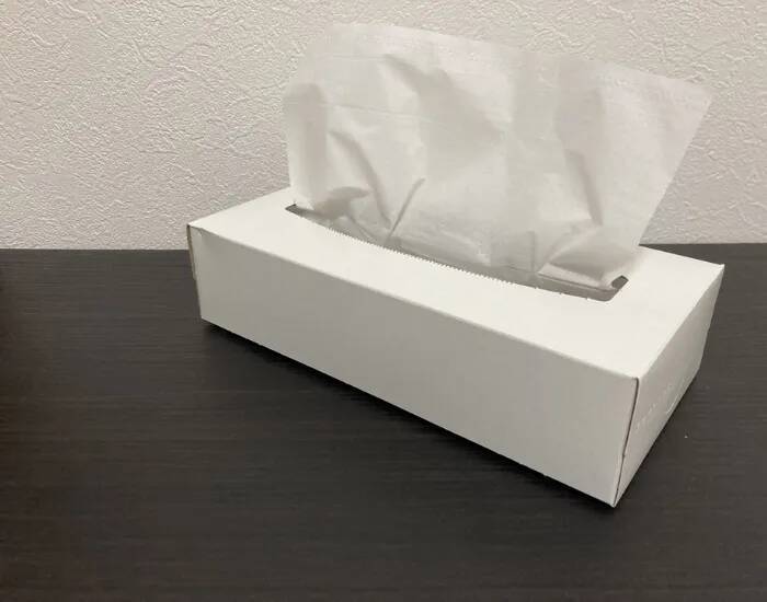 『ティッシュの空き箱』からフィルムを取り外して…　できあがったモノに拍手！【活用法4選】