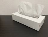 「『ティッシュの空き箱』からフィルムを取り外して…　できあがったモノに拍手！【活用法4選】」の画像2