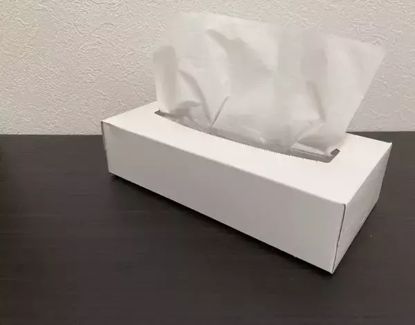 「『ティッシュの空き箱』からフィルムを取り外して…　できあがったモノに拍手！【活用法4選】」の画像