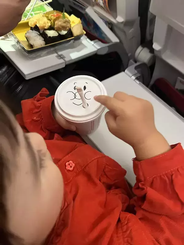 「母親「帰りにJALの飛行機乗ったんだけど…」　機内での出来事に「CAさんすごい」「普通はできない」」の画像