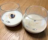 「「凍らせてドリンクに入れるだけ」　氷の代わりに入れたモノに「最後までおいしい！」」の画像7