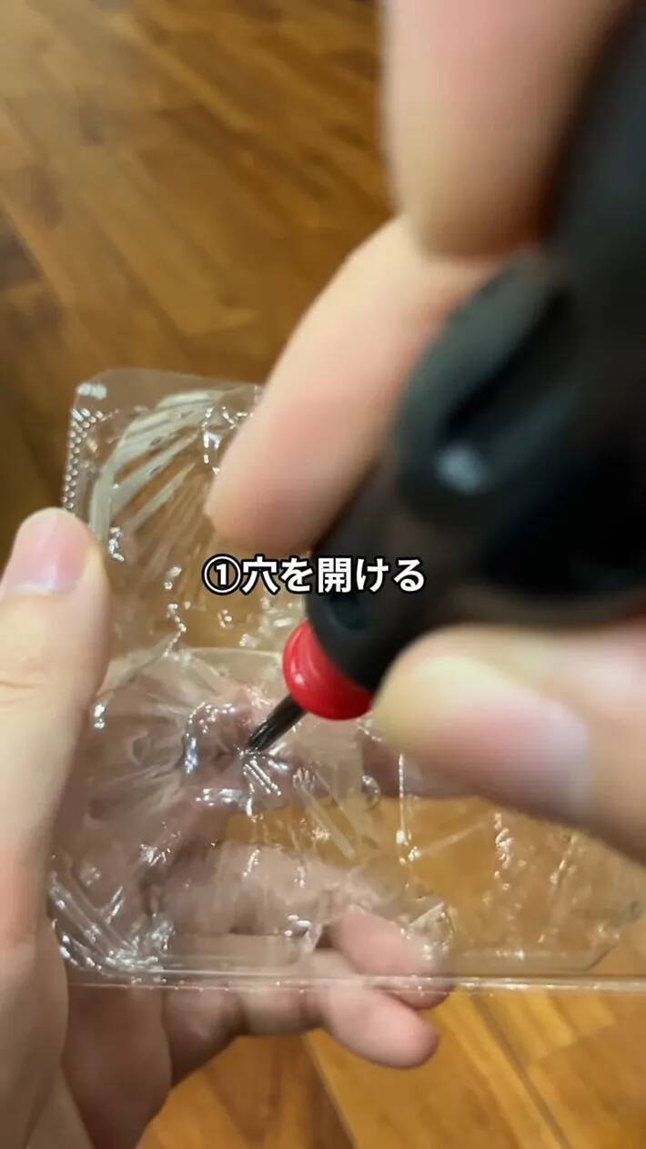 卵パックに穴を開けるだけ！　野菜作りに便利な『ミニ温室』に変える方法【肥料メーカー直伝】