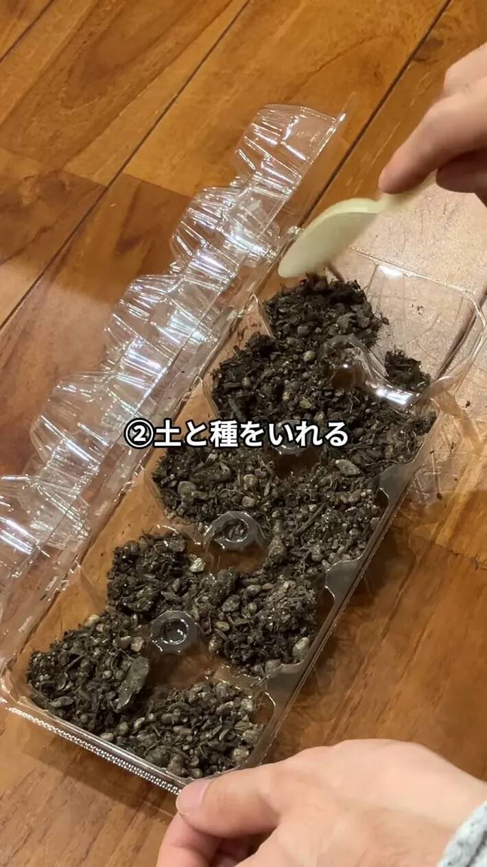 卵パックに穴を開けるだけ！　野菜作りに便利な『ミニ温室』に変える方法【肥料メーカー直伝】