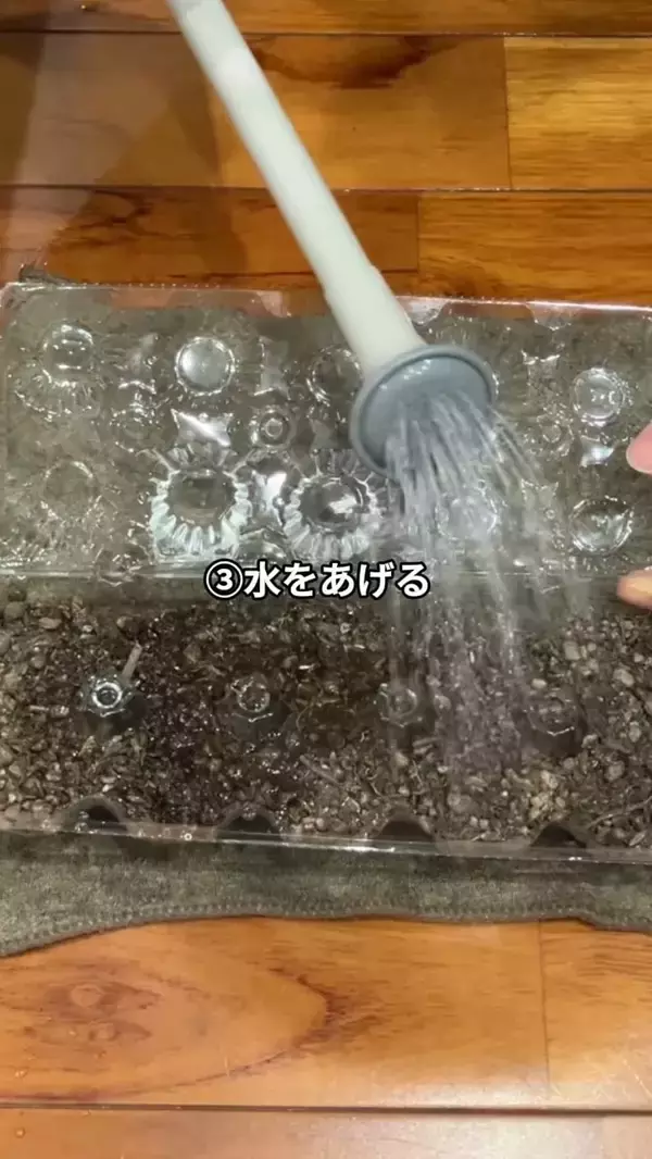「卵パックに穴を開けるだけ！　野菜作りに便利な『ミニ温室』に変える方法【肥料メーカー直伝】」の画像