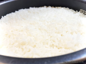 炊飯器で炊いた米、どうしてますか？　象印おすすめする保存方法は