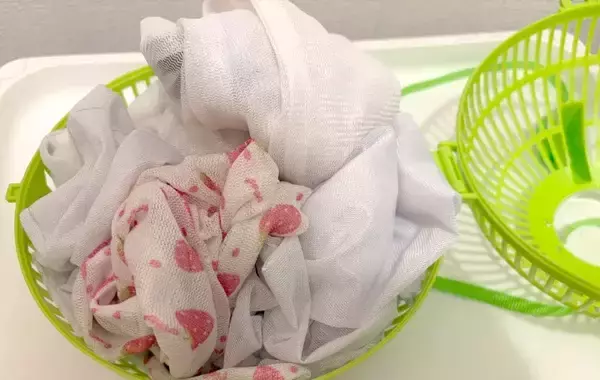 「ダイソーで買った『昆虫ケース』　虫は入れないけど「買って正解！」　3つの活用アイデア」の画像