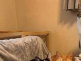 「「AI画像かと思った…！」　飼い主が目撃した6匹の猫の密談、漂う異様な緊迫感が？」の画像1