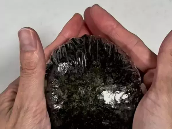 ラップの上で折るだけ！　ふんわりおにぎりに「簡単すぎ」「手も汚れない」