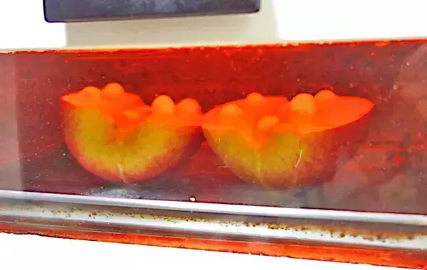 「焼いてのせるだけ！　子供が驚く『りんごのおやつ』の作り方」の画像