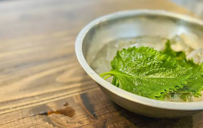 冷蔵庫でしなしなの大葉が「シャキッ」と大復活！　10分で蘇る『元調理師の裏ワザ』