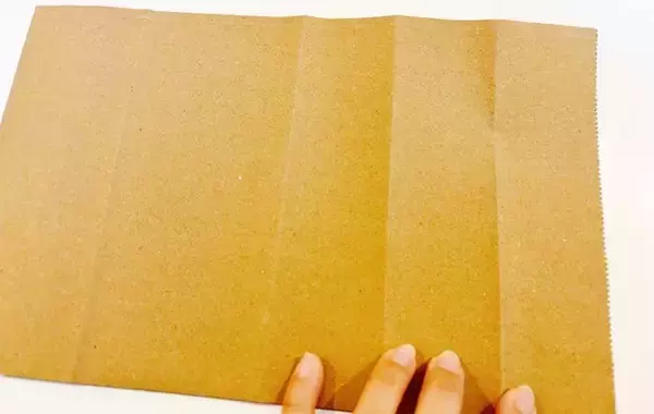 「ついつい溜めがちな紙袋　思わぬ活用法に「不器用でもできた！」「スッキリ」」の画像