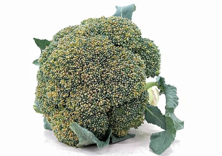 花が咲いたブロッコリー、食べても大丈夫？　安井ファームが回答